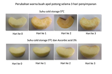 peneliti-ipb-cegah-pencoklatan-pada-apel-potong-news