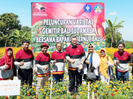 Rektor Hadiri Peluncuran Varietas Bunga Marigold Sudamala Hasil Penelitian IPB University