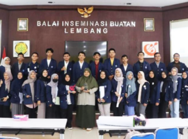 Mahasiswa IPB University Praktik Inseminasi Buatan di BIB Lembang