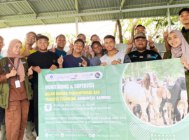 Peserta OVOC Sosialisasikan Pentingnya Recording Komoditas Kambing kepada Pokja dan Santri di Kalimantan Selatan
