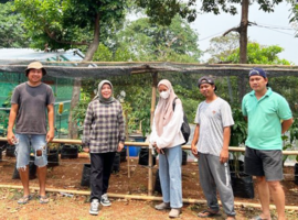 Harga Cabai Melambung, IPB University Adakan Kegiatan Urban Farming di Kota Depok