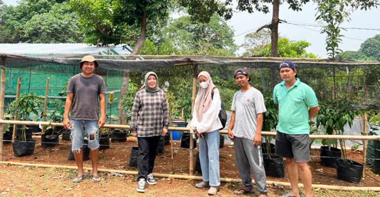 Harga Cabai Melambung, IPB University Adakan Kegiatan Urban Farming di Kota Depok