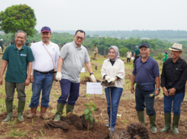 Wujudkan Orchard Buah-Buahan, IPB University Tanam Perdana Buah Alpukat dan Kelengkeng di Kebun IPB Jonggol