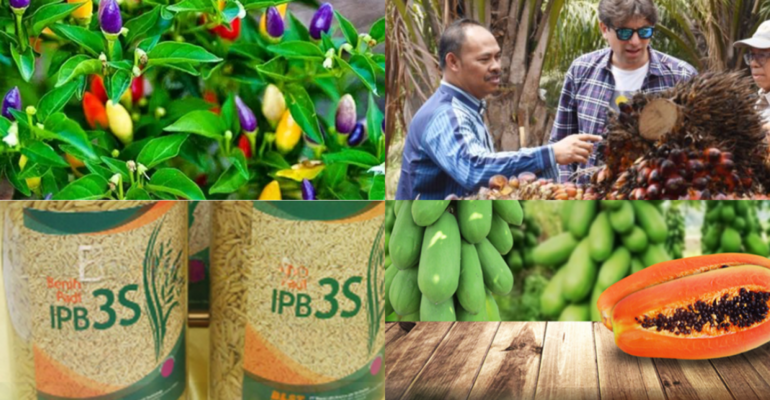 Prodi Agronomi dan Hortikultura IPB University Cocok Untuk Siapa Cek di Sini Deh