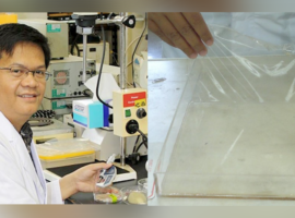 Kemasan Pangan Cerdas dengan Nanopartikel ZnO: Solusi Revolusioner Guru Besar IPB University