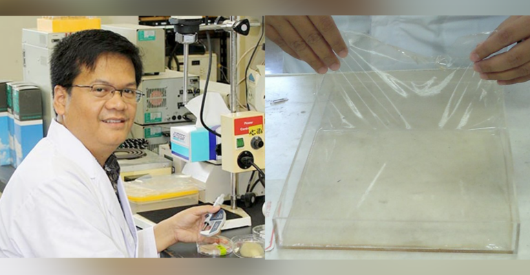Kemasan Pangan Cerdas dengan Nanopartikel ZnO: Solusi Revolusioner Guru Besar IPB University