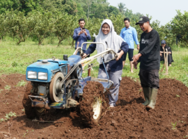 Persiapkan Kelompok Mahasiswa IPB University sebagai Fasilitator Petani, Program Percontohan Bedah Kebun Digelar