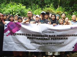 Mahasiswa Sekolah Vokasi IPB University Beri Penyuluhan Pengendalian Hama Penggerek Batang Padi di Desa Karang Tengah