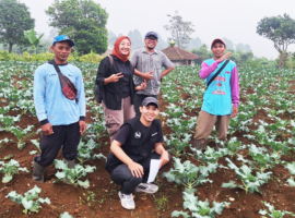 Perkuat Ekosistem Bisnis Sayuran, DPMA IPB University Siap Fasilitasi Pendampingan bagi Petani Cianjur