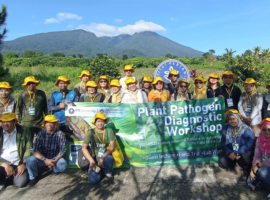 Gandeng University of Queensland, Departemen PTN IPB University Adakan Workshop Diagnosis Penyakit Buah Pisang