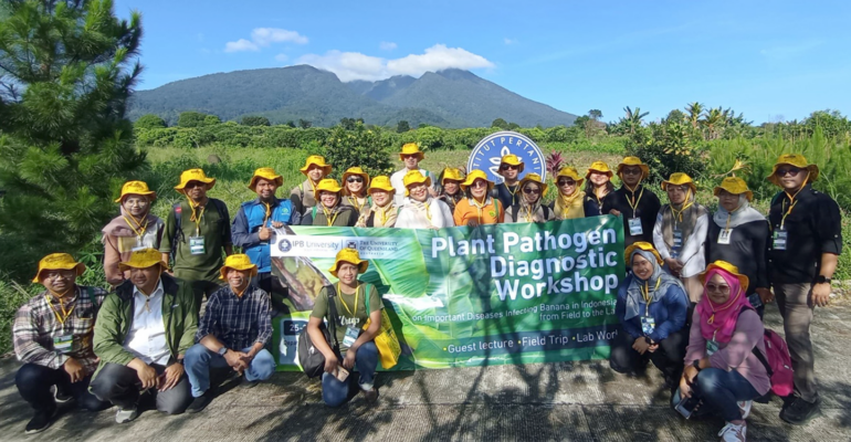 Gandeng University of Queensland, Departemen PTN IPB University Adakan Workshop Diagnosis Penyakit Buah Pisang