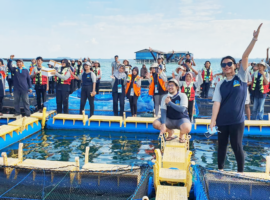 Sea Farming IPB University Bersama Dinas Ketahanan Pangan Kelautan dan Pertanian DKI Jakarta Mengawal Pembangunan Budaya Maritim