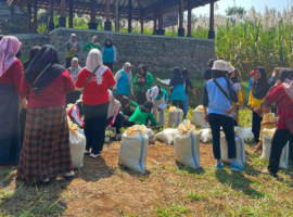 Dari Lereng Gunung Kawi, Mahasiswa KKNT Inovasi IPB University Fasilitasi Desa Kembangkan Komoditas Lokal