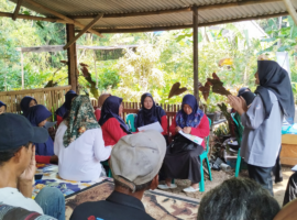 Dorong Kemandirian Pangan, Mahasiswa IPB University dan Abdi Tani Farm Gelar Program Green Harmony