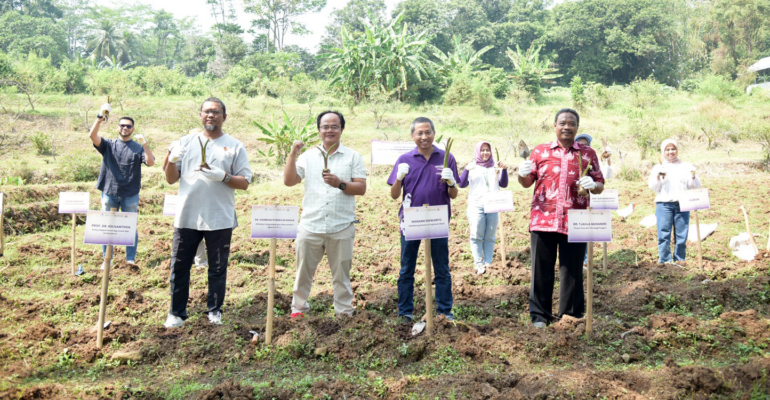 Kick Off Program Inovasi Ekosistem Bisnis Desa, IPB University dan PT Agrinesia Raya Tanam Talas Perdana