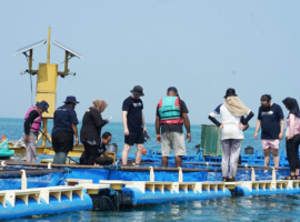 Mahasiswa MSP IPB University Deep Dive ke Dunia Budi Daya Laut di Balai Sea Farming PKSPL