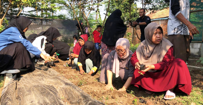 Tim KKNT Inovasi IPB University Gelar Kampanye Hijau Bersama KWT Dewi Pohaci Kelurahan Tanjungmekar