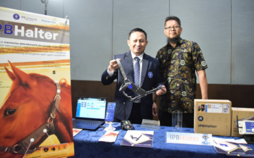 IPB University Luncurkan IPBHalter, Alat Pemantauan Kesehatan Kuda Berbasis AI dan IoT