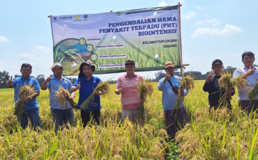 IPB University Terapkan Teknologi PHT Biointensif, Hindari Ancaman Kekurangan Produksi Beras Nasional