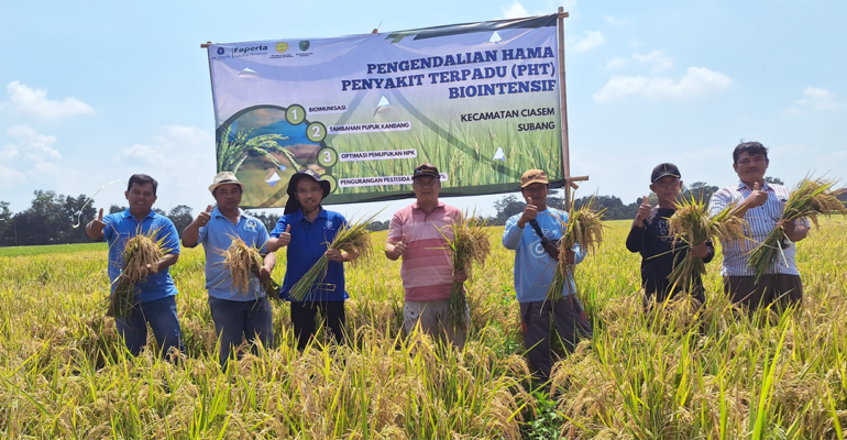 IPB University Terapkan Teknologi PHT Biointensif, Hindari Ancaman Kekurangan Produksi Beras Nasional