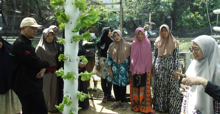 Sekolah Vokasi IPB University Dorong KWT Ciharashas Kuasai Hidroponik Vertikultur Modern