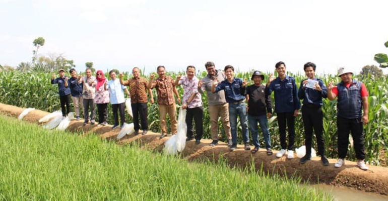 Tim PPK Ormawa Himakua IPB University Launching Mina Padi Pertama di Desa Sukajadi, Bogor