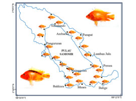 Dosen Pulang Kampung IPB University Teliti Distribusi Populasi Ikan Invasif Red Devil di Danau Toba