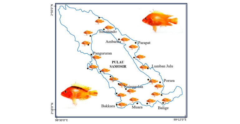 Dosen Pulang Kampung IPB University Teliti Distribusi Populasi Ikan Invasif Red Devil di Danau Toba