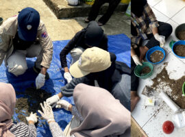 Panen Maggot Berlimpah! Program Rama PPK Ormawa Himasiter di Desa Sinarsari Sulap Sampah Organik Jadi Manfaat