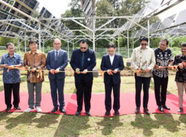 Pertama di Indonesia, IPB University Resmikan Agri-Photovoltaic Research Station