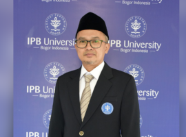 Domba Hewan yang Mudah Ditipu Berikut Lima Fakta Unik Domba Menurut Dosen IPB University