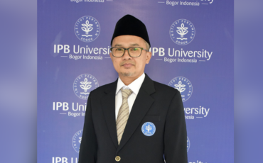 Domba Hewan yang Mudah Ditipu Berikut Lima Fakta Unik Domba Menurut Dosen IPB University