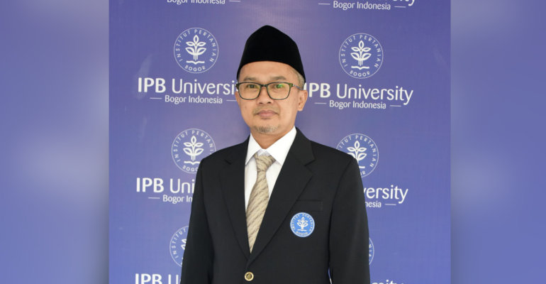 Domba Hewan yang Mudah Ditipu Berikut Lima Fakta Unik Domba Menurut Dosen IPB University