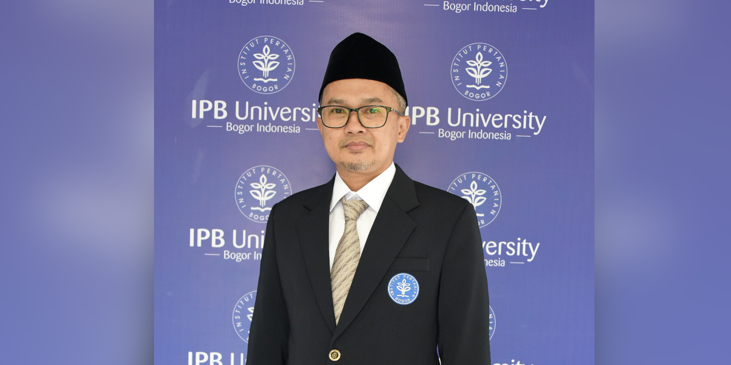 Domba Hewan yang Mudah Ditipu Berikut Lima Fakta Unik Domba Menurut Dosen IPB University