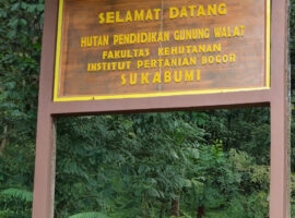 Hutan Pendidikan Gunung Walat (HPGW) merupakan kawasan hutan milik negara yang pengelolaannya diserahkan kepada Fakultas Kehutanan dan Lingkungan (Fahutan) IPB University.