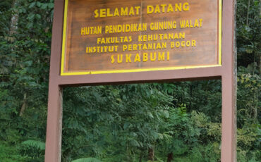 Hutan Pendidikan Gunung Walat (HPGW) merupakan kawasan hutan milik negara yang pengelolaannya diserahkan kepada Fakultas Kehutanan dan Lingkungan (Fahutan) IPB University.