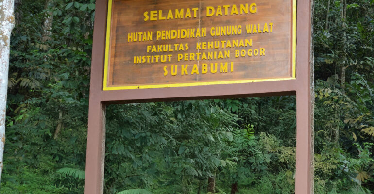 Hutan Pendidikan Gunung Walat (HPGW) merupakan kawasan hutan milik negara yang pengelolaannya diserahkan kepada Fakultas Kehutanan dan Lingkungan (Fahutan) IPB University.