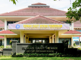 Bingung Titip Hewan Saat Mudik RSHP IPB University Jawabannya!