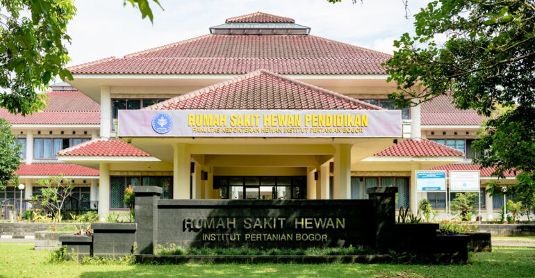 Bingung Titip Hewan Saat Mudik RSHP IPB University Jawabannya!